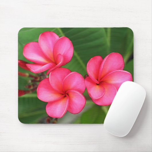 Plumeria - Miami-Rose auf mousepad (Mit Mouse)
