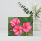 Plumeria - Miami-Rose auf Postkarte (Stehend Vorderseite)