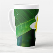 Plumeria Milchtasse (Linke Ecke)