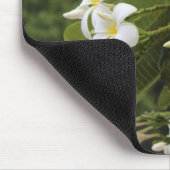 Plumeria Mousepad (Ecke)