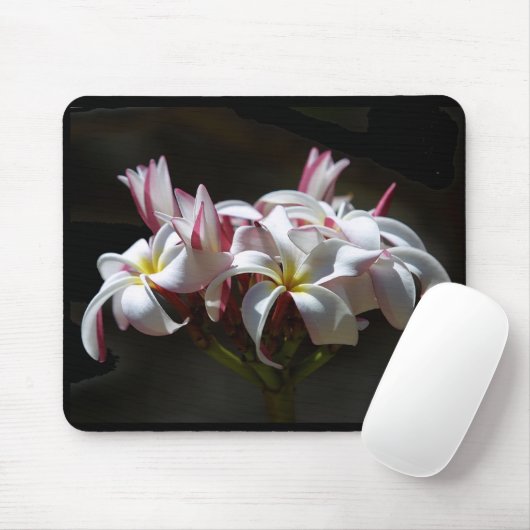Plumeria Mousepad (Mit Mouse)
