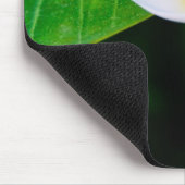 Plumeria Mousepad (Ecke)