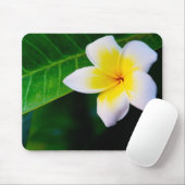 Plumeria Mousepad (Mit Mouse)
