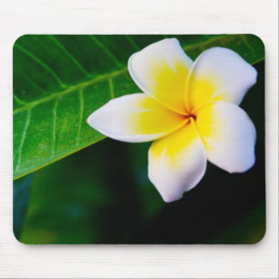 Plumeria Mousepad