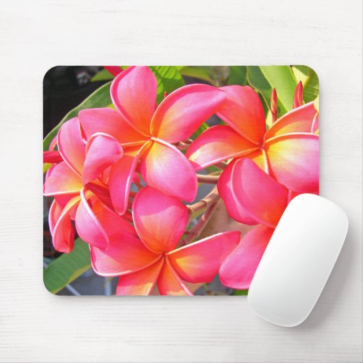 Plumeria Mousepad (Mit Mouse)