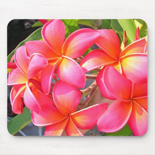 Plumeria Mousepad (Vorne)