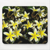 Plumeria Mouspad Mousepad (Vorne)