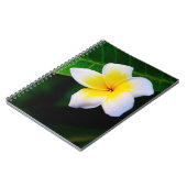 Plumeria Notizblock (Linke Seite)