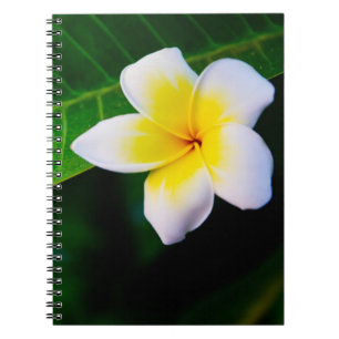 Plumeria Notizblock