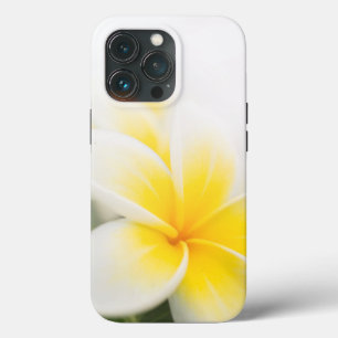 Plumeria OtterBox iPhone Gehäuse Case-Mate iPhone Hülle