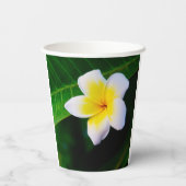 Plumeria Pappbecher (Rückseite)