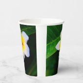 Plumeria Pappbecher (Links)
