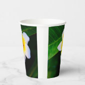 Plumeria Pappbecher (Rechts)
