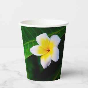 Plumeria Pappbecher