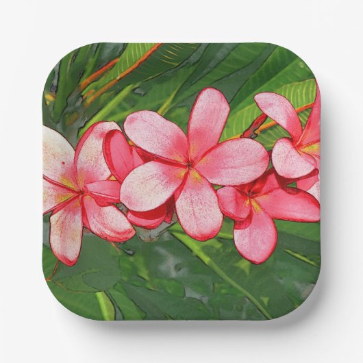 Plumeria Pappteller (Vorderseite)