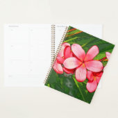 Plumeria Planer (Anzeige)