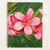 Plumeria Planer (Vorderseite)