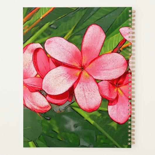 Plumeria Planer (Rückseite)