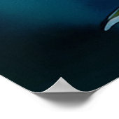 Plumeria Plumeria Poster (Ecke)