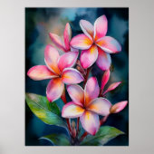 Plumeria Plumeria Poster (Vorne)