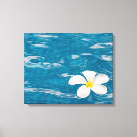 Plumeria Pool WrackCanvas Art Leinwanddruck (Vorderseite)