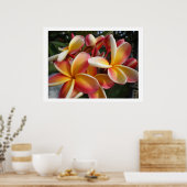 Plumeria Poster (Küche)