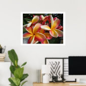 Plumeria Poster (Heimbüro)