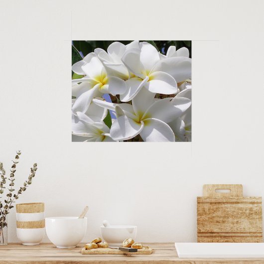 Plumeria Poster (Küche)