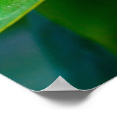 Plumeria Poster (Ecke)