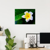 Plumeria Poster (Heimbüro)
