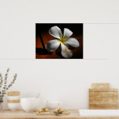 Plumeria Poster (Küche)
