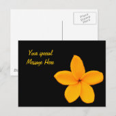 Plumeria Postkarte (Vorne/Hinten)