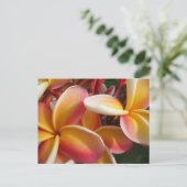 Plumeria Postkarte (Stehend Vorderseite)