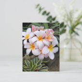 Plumeria [Postkarte] Postkarte (Stehend Vorderseite)