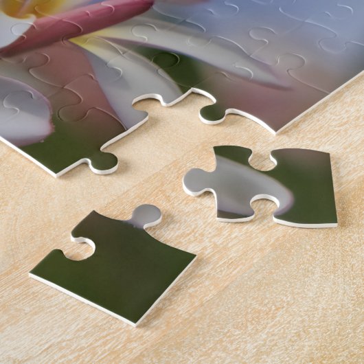 Plumeria Puzzle (Seite)