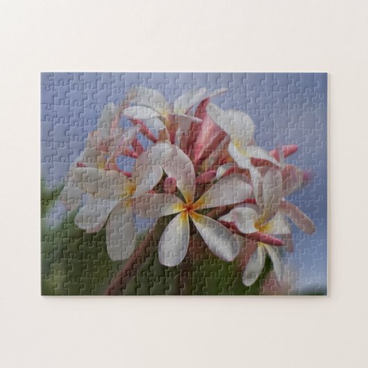 Plumeria Puzzle (Horizontal)