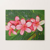 Plumeria Puzzle (Horizontal)