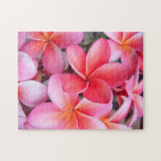 *Plumeria* Puzzle (Horizontal)