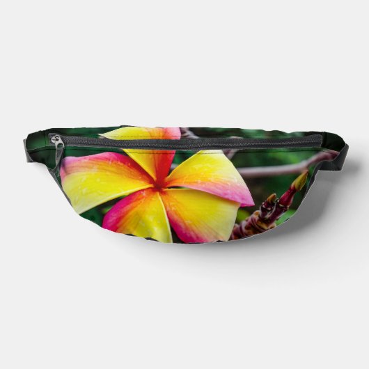 Plumeria rubra bauchtasche (Ablage )