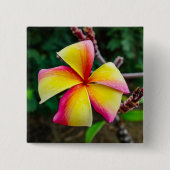 Plumeria rubra button (Vorderseite)