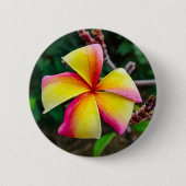Plumeria rubra button (Vorderseite)