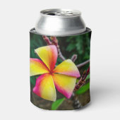 Plumeria rubra dosenkühler (Kanne Vorderseite)