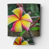 Plumeria rubra dosenkühler (Vorderseite)