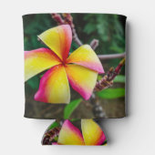 Plumeria rubra dosenkühler (Rückseite)