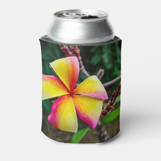Plumeria rubra dosenkühler (Kanne Rückseite)