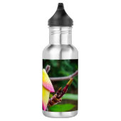 Plumeria rubra edelstahlflasche (Rechts)