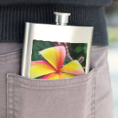 Plumeria rubra flachmann (Beispiel)