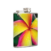 Plumeria rubra flachmann (Rechts)