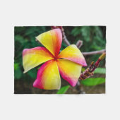 Plumeria rubra fleecedecke (Vorderseite (Horizontal))