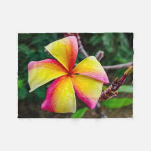 Plumeria rubra fleecedecke